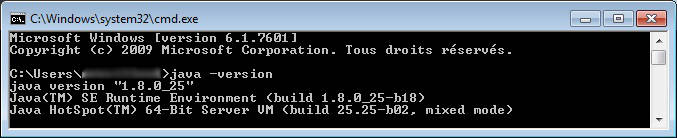 java version